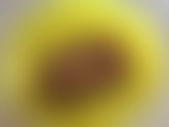 Whole Wheat Chocolate Chip Banana Bread