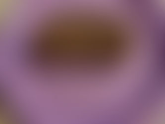 Whole Wheat Blueberry Yogurt Cake (Moist & Light)