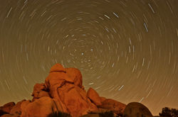 Joshua Tree National Park Star Trails