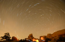Joshua Tree NP with star and headlamp trails