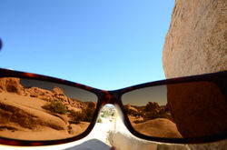 Hot day at Joshua tree