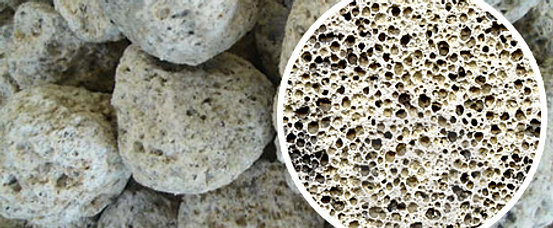 ¿POR QUE SE DA LA EXPLOTACION DEL TEPXIL? – BIOLOGIA II