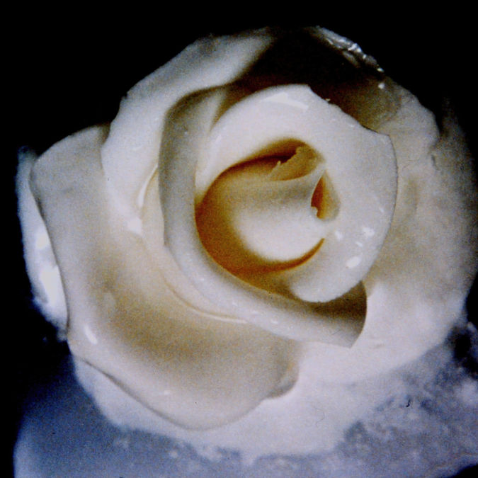 Experimental Image 6