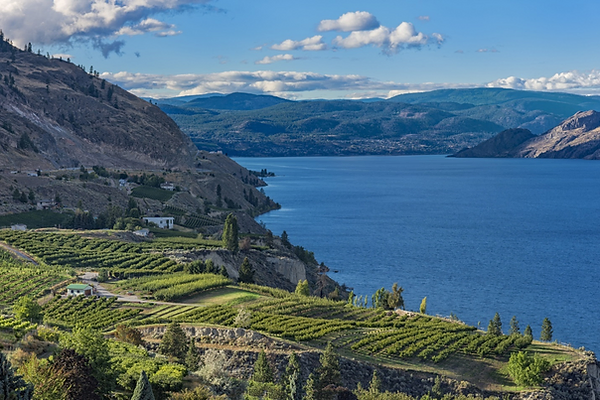 About The South Okanagan Mysite
