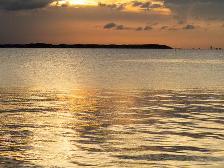 リフレクション