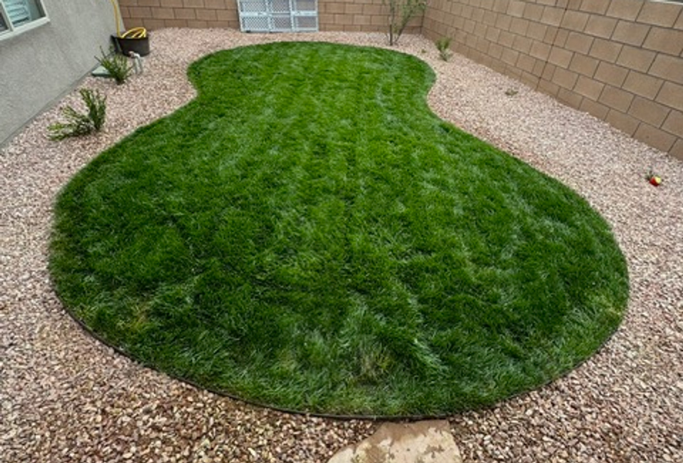 Hardscape & Planting Renovation by Perfection Landscaping & Design
