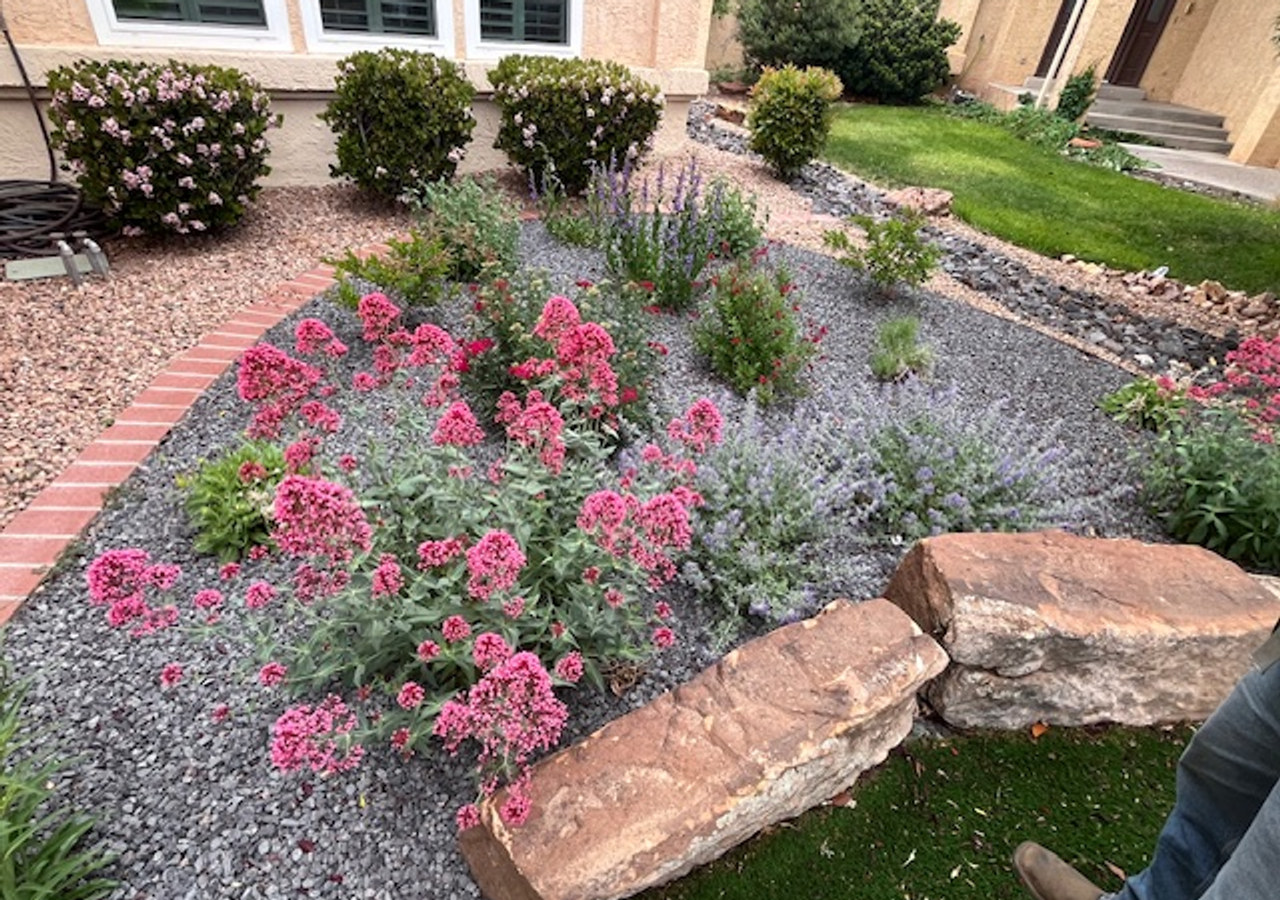 Paisaje xeriscape terminado en Albuquerque