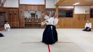BT-41, 入身投げ重要ポイント/Important points for Irimi Nage