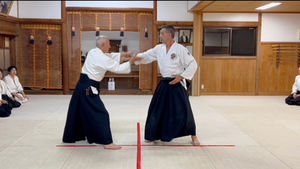 BT-19, 横面打ち呼吸投げ/Yokomen Uchi Kokyu Nage