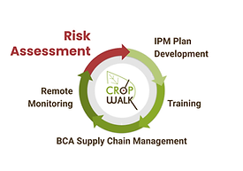 BlogImage_Creator_v01 (4).png