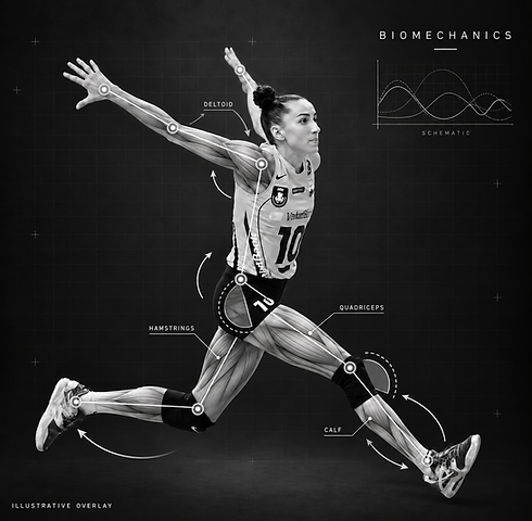 Monochrome volleyball biomechanics study.png