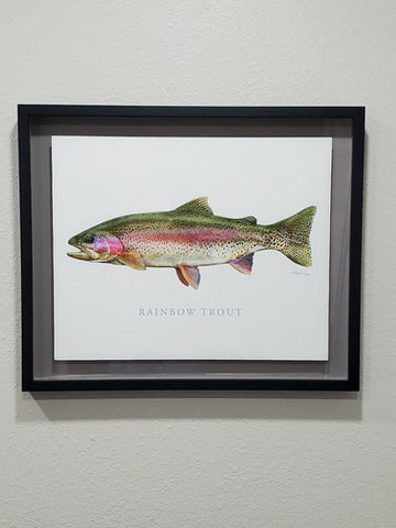 Fly Fishing Float Mount