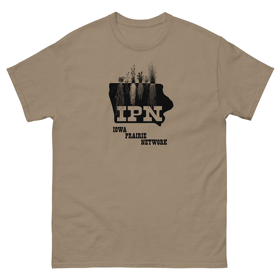 Thumbnail: IPN Throwback Logo Unisex Classic Fit Tee
