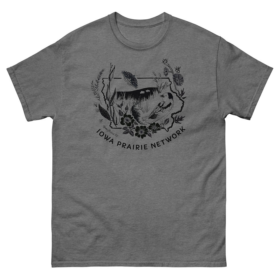 Thumbnail: Naomi Friend x IPN Unisex classic tee