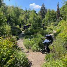 Feuer oder Erde? Alle Bestattungsformen in Berlin im Überblick