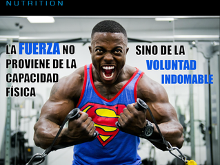 Los Beneficios de la Proteína (Parte 1)