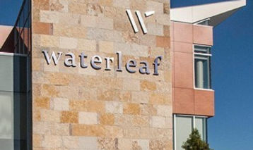 waterleaf.jpg