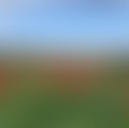 Sarıköy Tarım Alanı Ziyareti