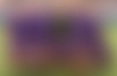 Orlando Pride Venció a Boston Breakers 2 a 1 en los Últimos Cuatro Minutos de Juego.
