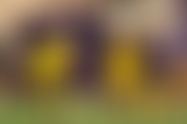 Orlando City SC Empata 2-2 Contra Columbus Crew SC