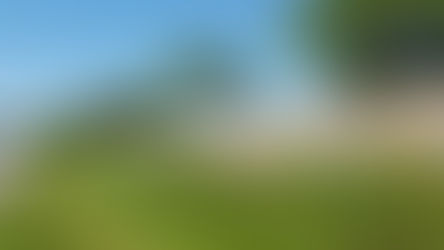 Sound Barriers Silence Noisy Neighbors