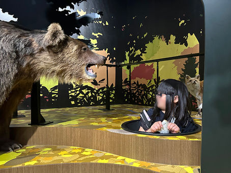 北海道博物館 & 厚別西公園