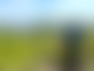 三角山登山 - 野に咲く花を探しながら -