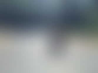 初めまして、稲積公園