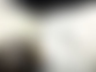 近代美術館 - トーベとムーミン展 -