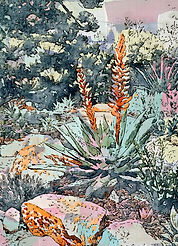 Pam Grau_Ojai Garden sketch.jpg