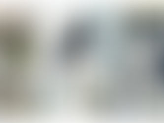 The Ravens at Yellowstone