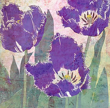 Pam Grau_Fringed Purple Tulips.jpg