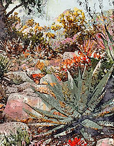 Pam Grau_Taft Garden jpg