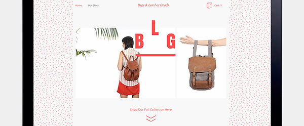 Website Design Showcase