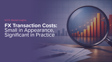 FX transaction costs look small… you need to turn the telescope around