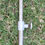 Miniatura: Preloved Vintage Leather And Metal Shooting Stick, Vintage Hunting Stick