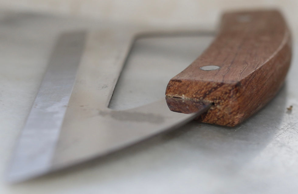 Miniature : Preloved Vintage Frozen Food Blade