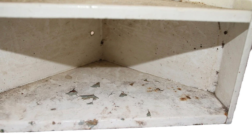 Μικρογραφία: Preloved Corner Bathroom Cabinet, Corner Cabinet, Metal Cabinet, Metal Bathroom