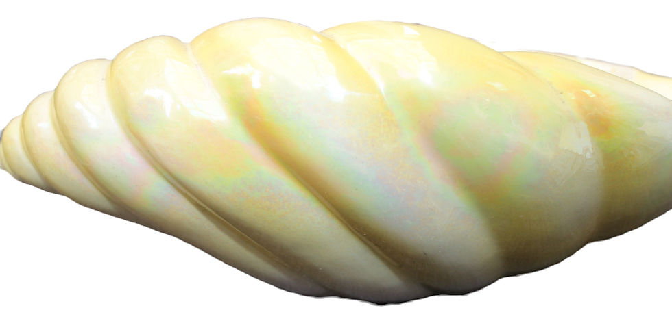 Thumbnail: Preloved Ceramic Shell  Bowl, Clam Bowl