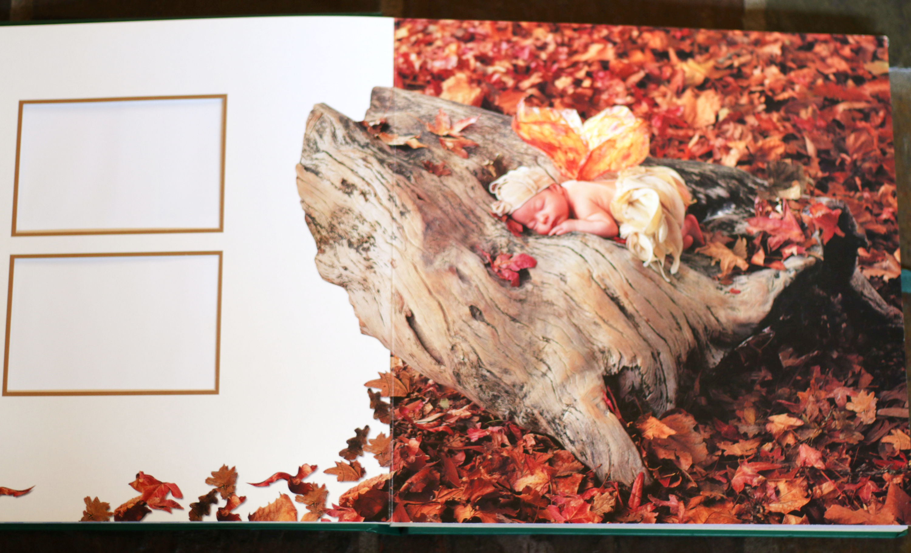 Vintage 1997 Anne Geddes Photograph Album