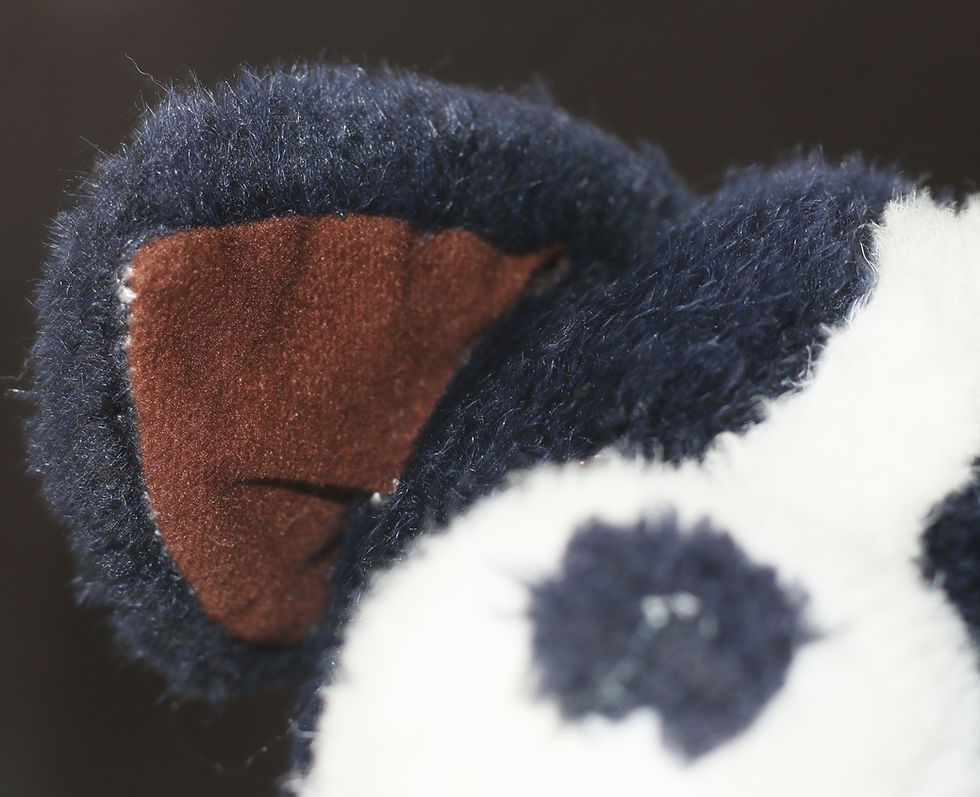 Miniatura: Preloved Vintage CA Toys Dog Stuffed Toy