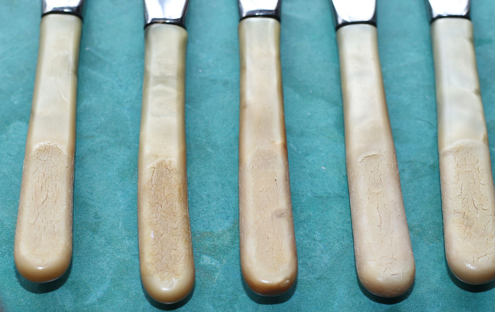 Miniaturbild: Vintage set of five Biltmore gourmet luncheon knives with celluloid handles