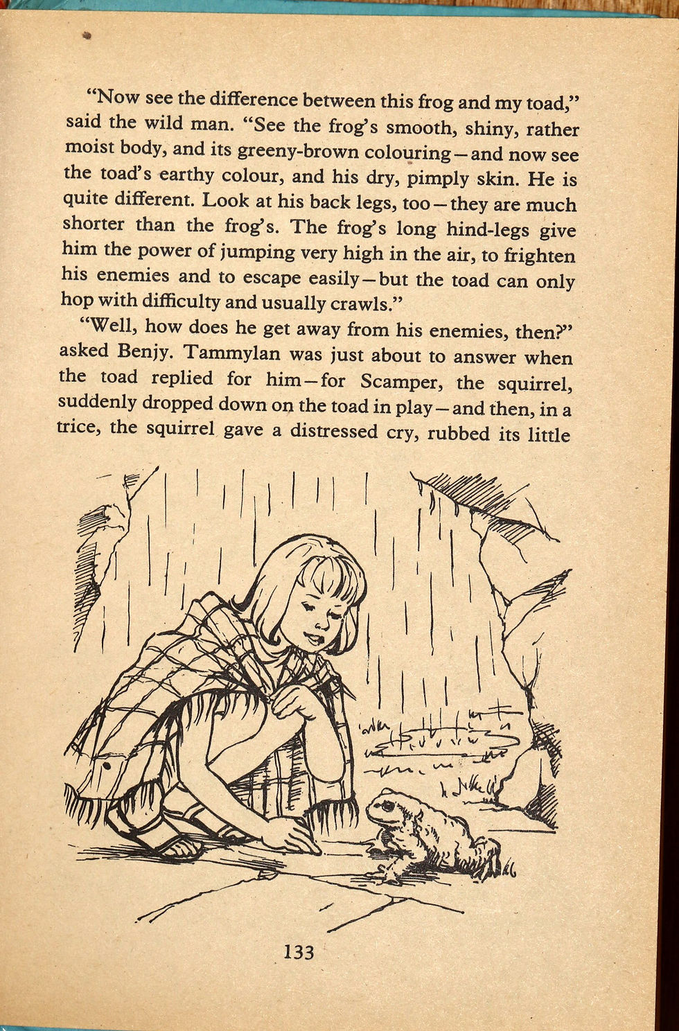 Μικρογραφία: Preloved Enid Blyton - The Children of Cherry-Tree Farm