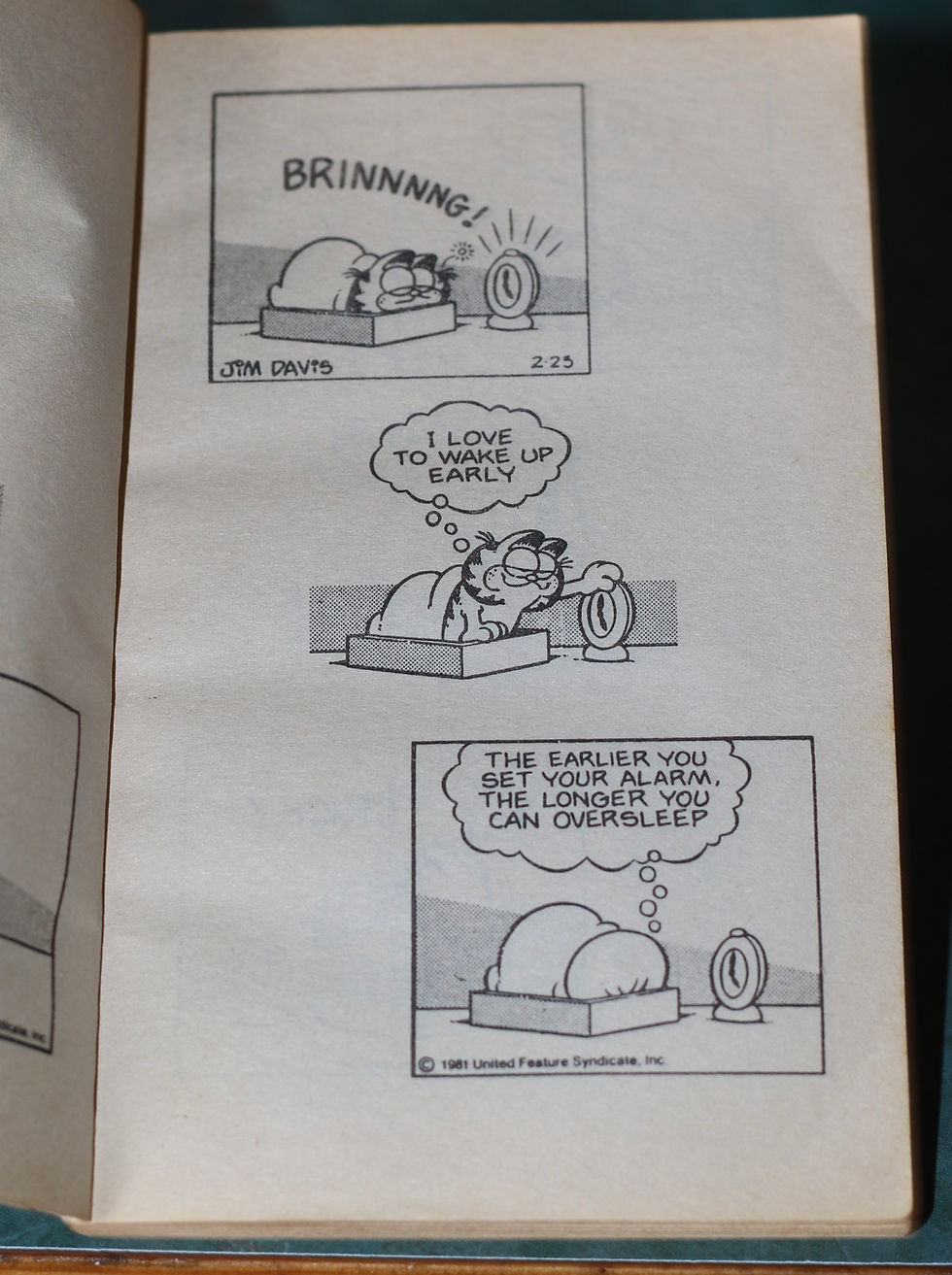 Miniature : Preloved Vintage Sleepy Garfield Comic Book Sleepy Garfield'
