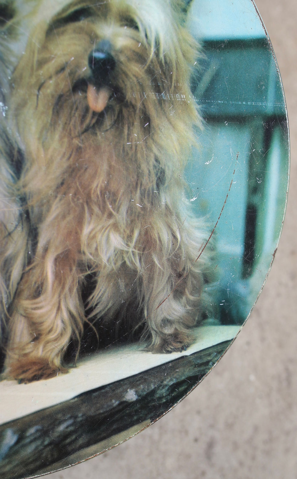 Thumbnail: Preloved Vintage Terriers Tin, Dog Tin