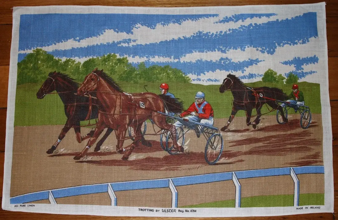 Preloved Display Tea Towel , Irish Tea Towel , Trotting By Ulster Reg. No. 4764