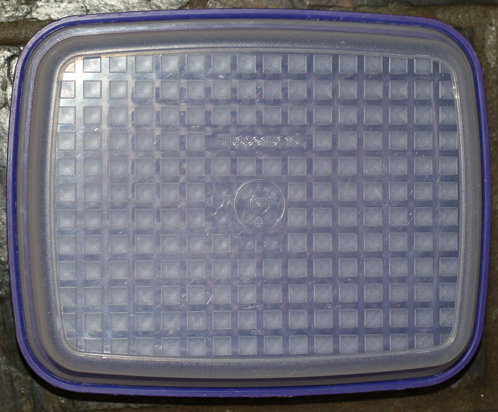 Miniaturbild: Preloved  Small Tupperware Season Server meat marinade container