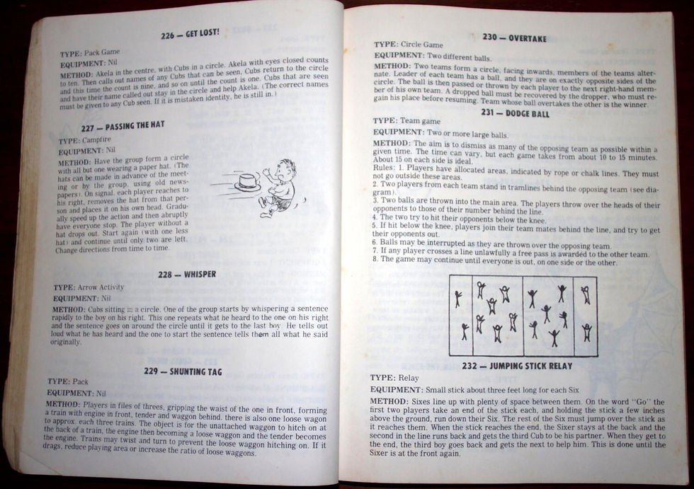 Миниатюра: Preloved Vintage Fun and Games for Cubs