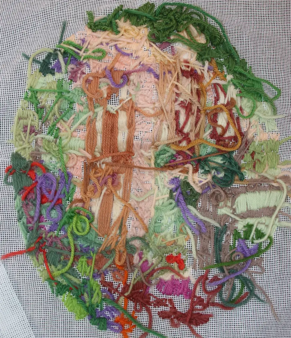 縮圖：Long Stitch Front Garden, Partially Completed