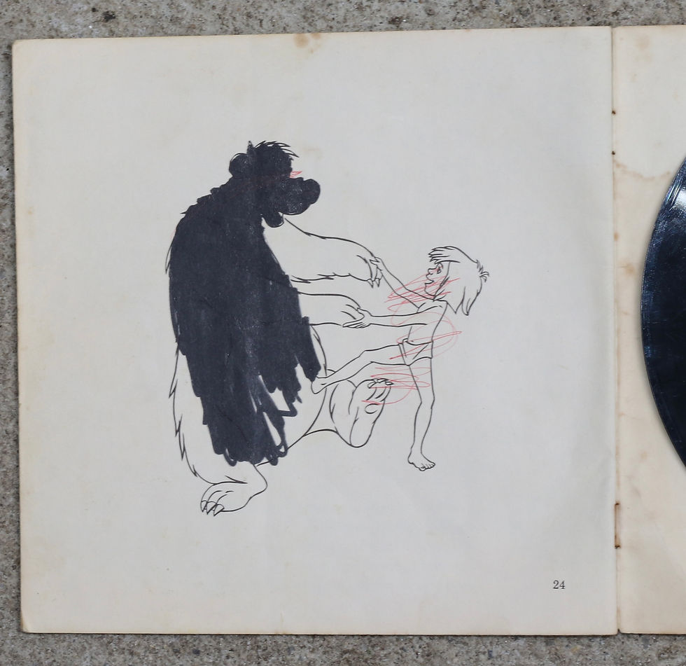 Μικρογραφία: Preloved A Disneyland Record and Book, More Jungle Boy Record